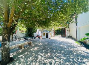 a tree with a bench and a dog house at Quinta Los Tercos in Santiago