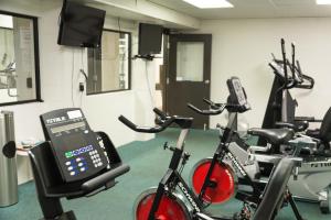 Fitnesscenter och/eller fitnessfaciliteter på The Ridge Motor Inn