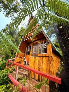 NanastepequeにあるHostal El Pital Lecho de Floresの木造の小屋
