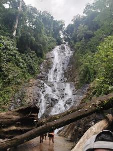 Personas paradas en el agua frente a una cascada. en Casa veranera, en Quepos