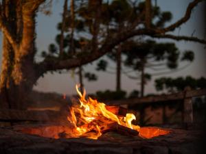 a fire is burning in front of a tree at Pousada Chalé Sol Nascente in Santo Antônio do Pinhal