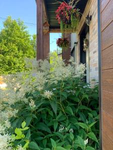 un giardino davanti a una casa con fiori di Boho Vibes Cottage a Sainte-Lucie-de-Doncaster