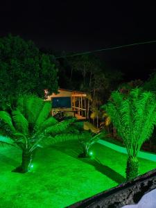 a yard with two palm trees with green lights at Cabana nas Montanhas Capixabas in Domingos Martins