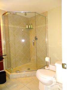 a shower stall in a bathroom with a toilet at Comfortable Renovated 3 Bed Apartment in Framingham