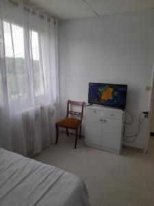 a bedroom with a bed and a chair and a television at Séjour vert au calme in La Machine