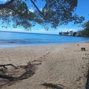 a sandy beach with a tree and the ocean at BattsRock Beach Condos 205 in Saint Michael