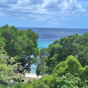 a view of a beach with trees and the ocean at BattsRock Beach Condos 205 in Saint Michael