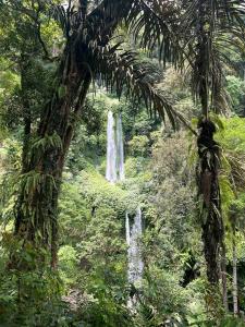 Fotografie z fotogalerie ubytování Gunung baru homestay v destinaci Senaru