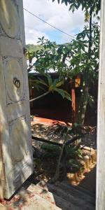 une porte ouverte sur un jardin avec un arbre dans l'établissement Maison 6 personnes au pieds des montagnes à l'Entre-deux, à Entre-Deux 21 autres photos