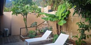 2 chaises blanches assises sur un patio arboré dans l'établissement Maison 6 personnes au pieds des montagnes à l'Entre-deux, à Entre-Deux