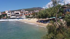 Príroda v okolí hotela