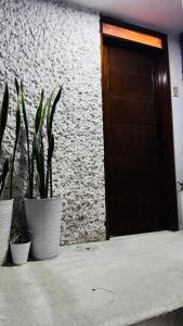 three potted plants sitting in front of a door at Departamento moderno a un lado de la feria in Pachuca de Soto