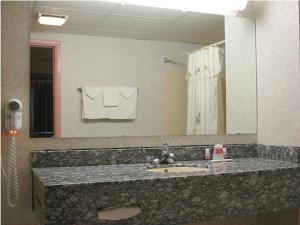 uma casa de banho com um lavatório e um espelho grande em Red Carpet Inn Williamstown em Williamstown
