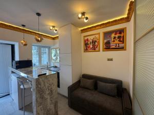 Η κουζίνα ή μικρή κουζίνα στο City Center Apart