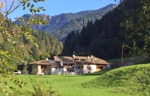 a house in the middle of a green field at Mansarda Ai Tigli in Castello di Fiemme
