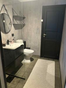a bathroom with a toilet and a sink and a mirror at Fin familiehytte i Vrådal hyttegrend med mange aktiviteter! in Kviteseid