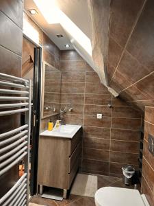 LainsecqにあるLa Pompagne 12 personnes piscine privée et chaufféeの洗面台とトイレ付きのバスルーム