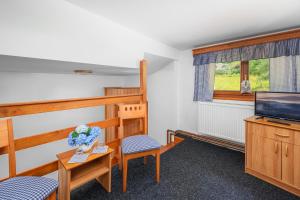a small room with a bunk bed and a television at Penzion pod Ještědem in Světlá pod Ještědem