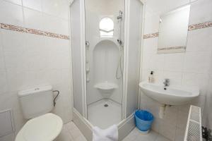 a bathroom with a shower and a toilet and a sink at Penzion pod Ještědem in Světlá pod Ještědem +16 photos