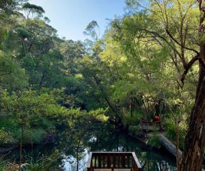 Naturlandskabet i nærheden af lejligheden