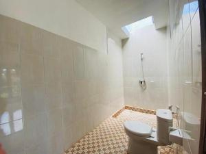 巴东Lumbung Guesthouse Canggu的带马桶和淋浴的浴室