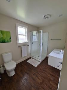 a bathroom with a toilet and a shower and a sink at Spacious 5 bedroom 2 bathroom Home Fast WIFi in Palmerston North