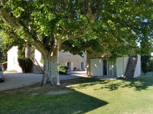 a tree in a yard next to a building at Avignon Grand Mas XXL avec Piscine, parc et Mazet in Avignon +25 photos