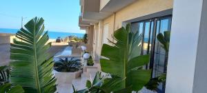 a balcony with plants and a view of the ocean at chott meriem avec terrasse sur la mer in Chott Meriem
