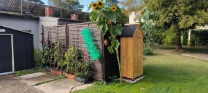 a garden with a wooden box and a sunflower at Juliusruh Strandparadies 3 in Juliusruh