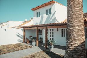 サンミゲル・デ・アボナにあるLuxurious apartment in southern Tenerifeのヤシの木のある白家