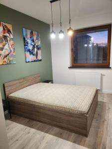 ein Schlafzimmer mit einem Bett in einem Zimmer mit einem Fenster in der Unterkunft Tabago Studio 40 Piotrków Trybunalski in Piotrków Trybunalski