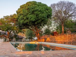 una piscina con un árbol junto a un muro de piedra en Cutty Sark Lodge, en Kariba 14 fotos más