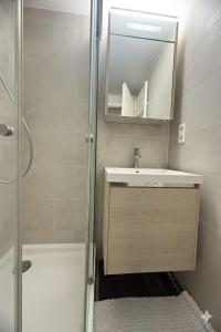 a bathroom with a shower and a sink and a mirror at CHL Stay apartment One-Bedroom Apartment Steps from Luxembourg Hospital-Private Garden Included in Luxembourg
