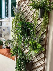 a vertical herb garden on a wall with potted plants at pied a terre due passi dal porto in Livorno