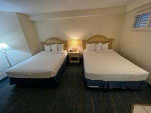 une chambre d'hôtel avec deux lits et une lampe dans l'établissement Coastal Comfort Beachfront On the Ocean Condo, à Ortona