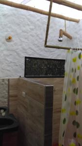 a bathroom with a toilet and a shower curtain at Hotel Ecológico La Antigua in San Agustín