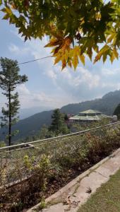 Příroda nedaleko prázdninového domu + 9 fotografií