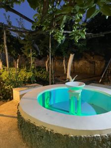 Bazén v ubytování B&B Rectina Pompei nebo v jeho okolí