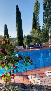 Ein Swimmingpool mit Liegestühlen und Bäumen im Hintergrund in der Unterkunft Fattoria Il Milione Agriturismo in Florenz