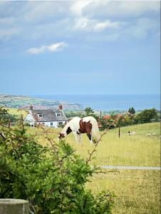 Billede fra billedgalleriet på The Flask Inn, Fylingdales, Whitby i Fylingdales + 12 billeder