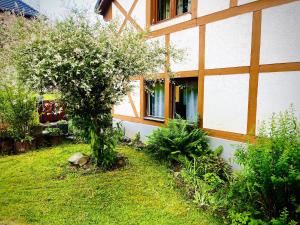 a garden with a tree and a building at Landhaus-Villa, Sauna, private Garten in Schleiden