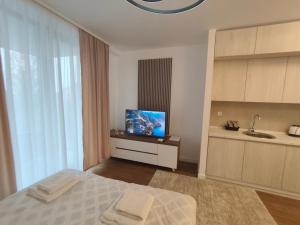 Una televisión o centro de entretenimiento en Komitet planet