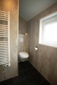 a bathroom with a toilet and a window at De Bijsselse Enk, Noors chalet 15 in Nunspeet +12 photos