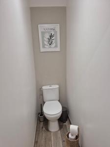 a bathroom with a toilet and a picture on the wall at Gîte de la Coup'Neuve in Chemilli