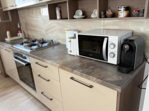 Dapur atau dapur kecil di Basarabiei 15