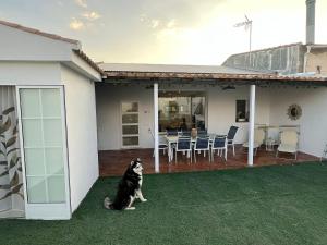 a dog sitting on a lawn in front of a house at Casa Jardin Las Eras De Campotejar in Campotéjar +16 photos
