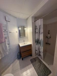 a bathroom with a sink and a shower at Petite maison au coeur des Hautes-Alpes in Aspres-sur-Buëch
