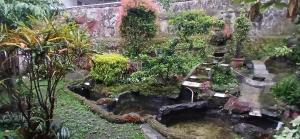 バンドンにあるOYO 94801 Pad Guest Houseの池と多植物の庭園 +14枚の写真