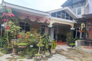 a house with a bunch of potted plants on it at OYO 94841 Alodia Homestay Family in Kejajar
