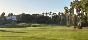 a golf course with palm trees and a golfer on a green at Calma y Golf in Santa Faz